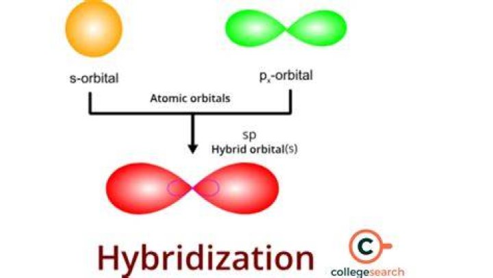 What does it mean when primers hybridize?