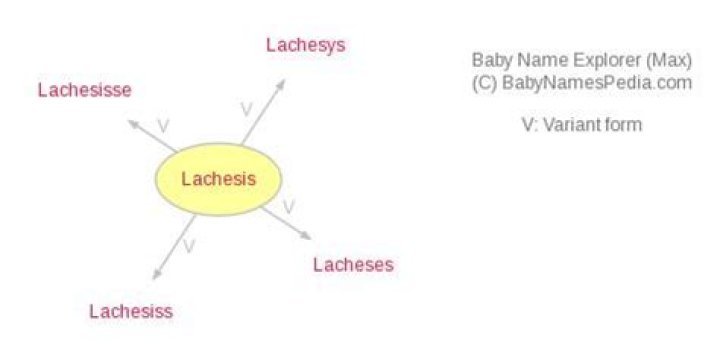 What does Lachesis mean