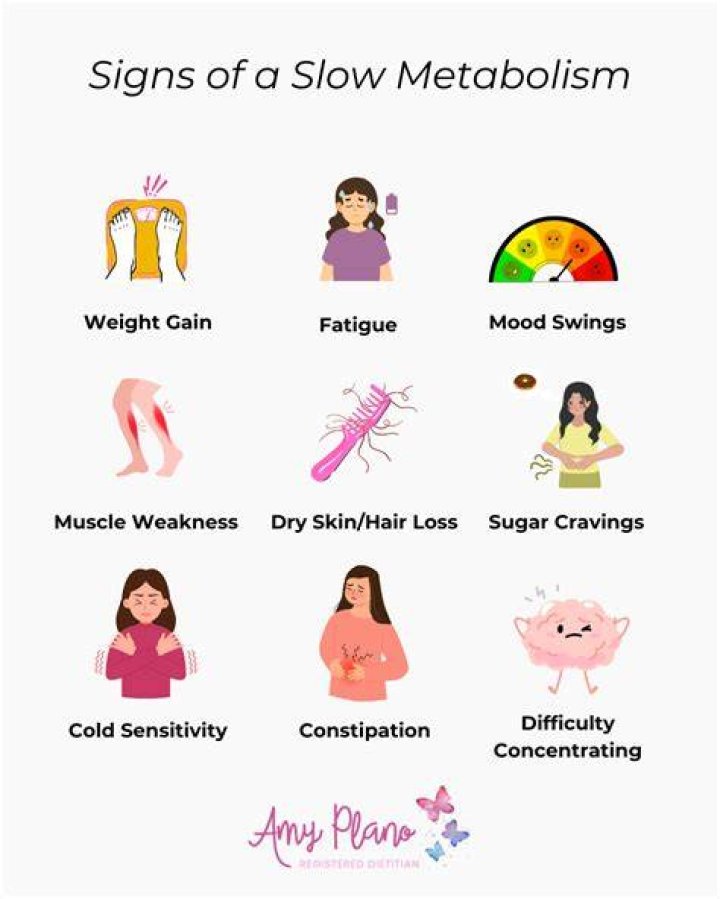 What does low metabolism mean