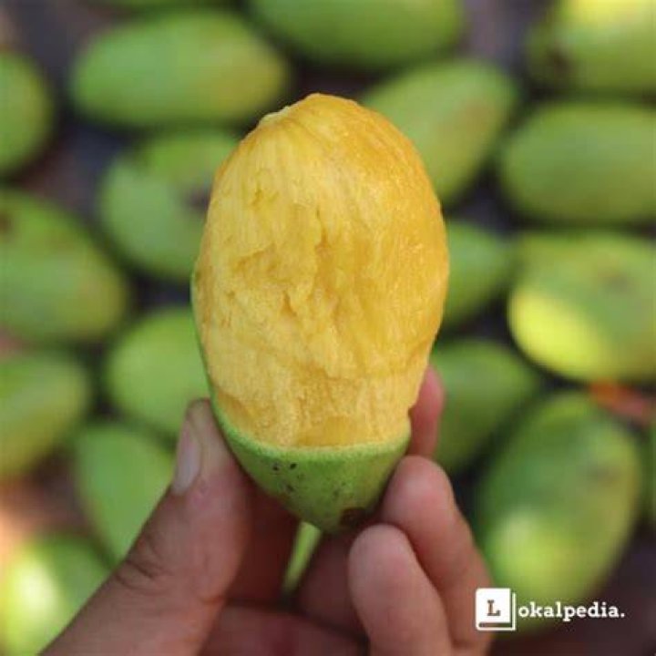 What does mango symbolize in the Philippines
