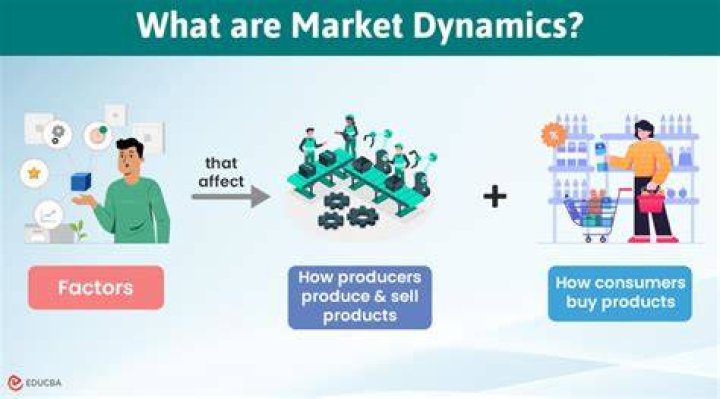What does market focus mean