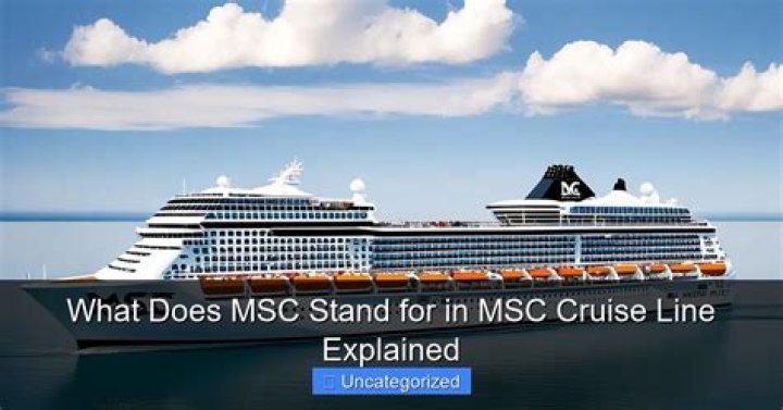What does MSC ship stand for?