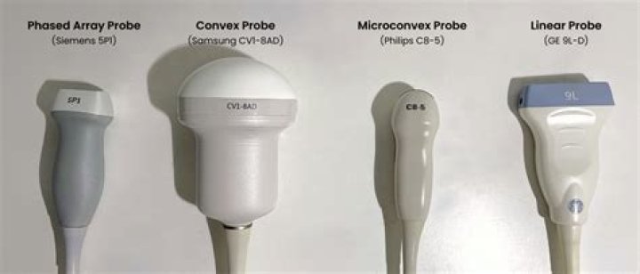 What does oven probe mean?
