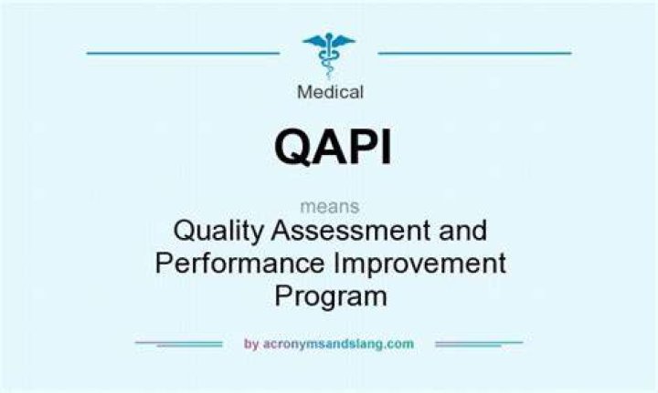 What does QAPI mean