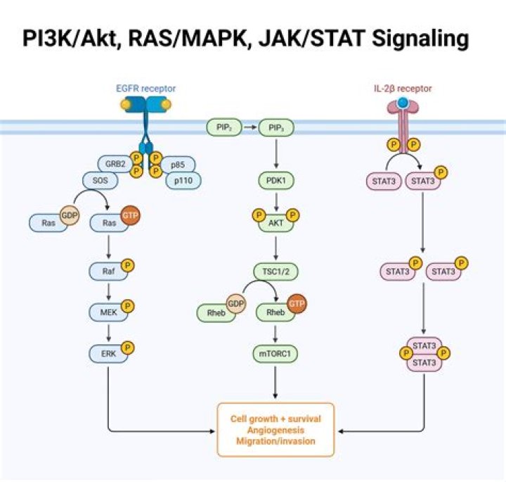 What does rsk do?