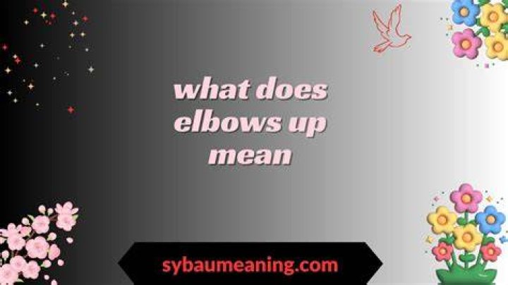 What does shimmied up mean?