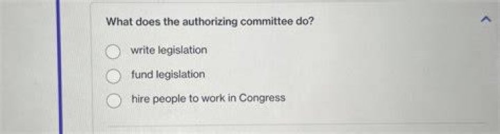 What does the authorizing committee do?