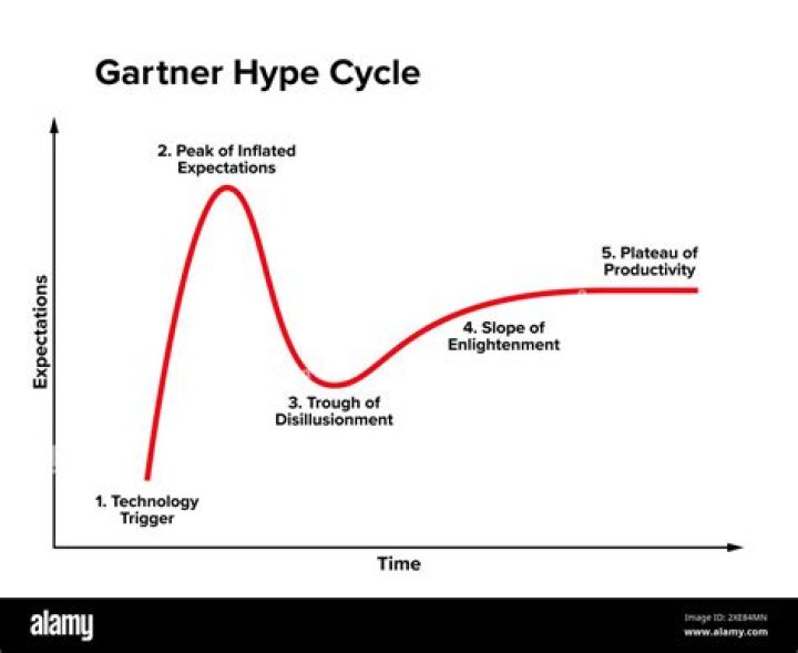 What does the Gartner Hype Cycle describe?
