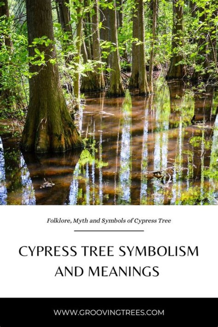 What does the sacred tree symbolize?
