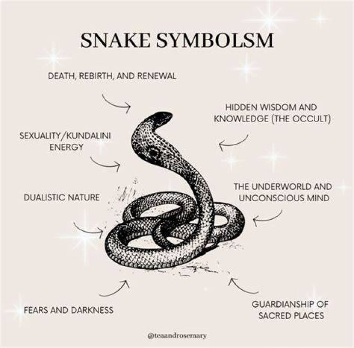 What does the serpent symbolize?