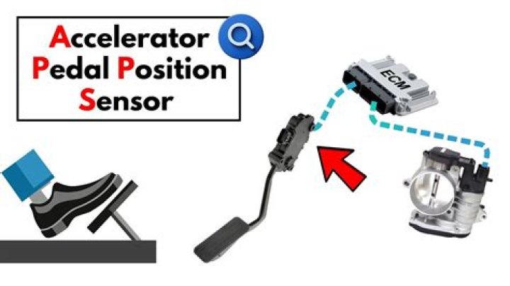 What does the throttle pedal position sensor do