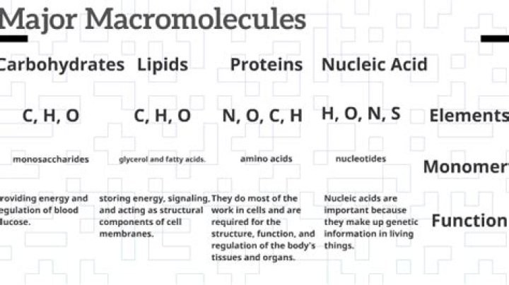 What elements are in each macromolecule