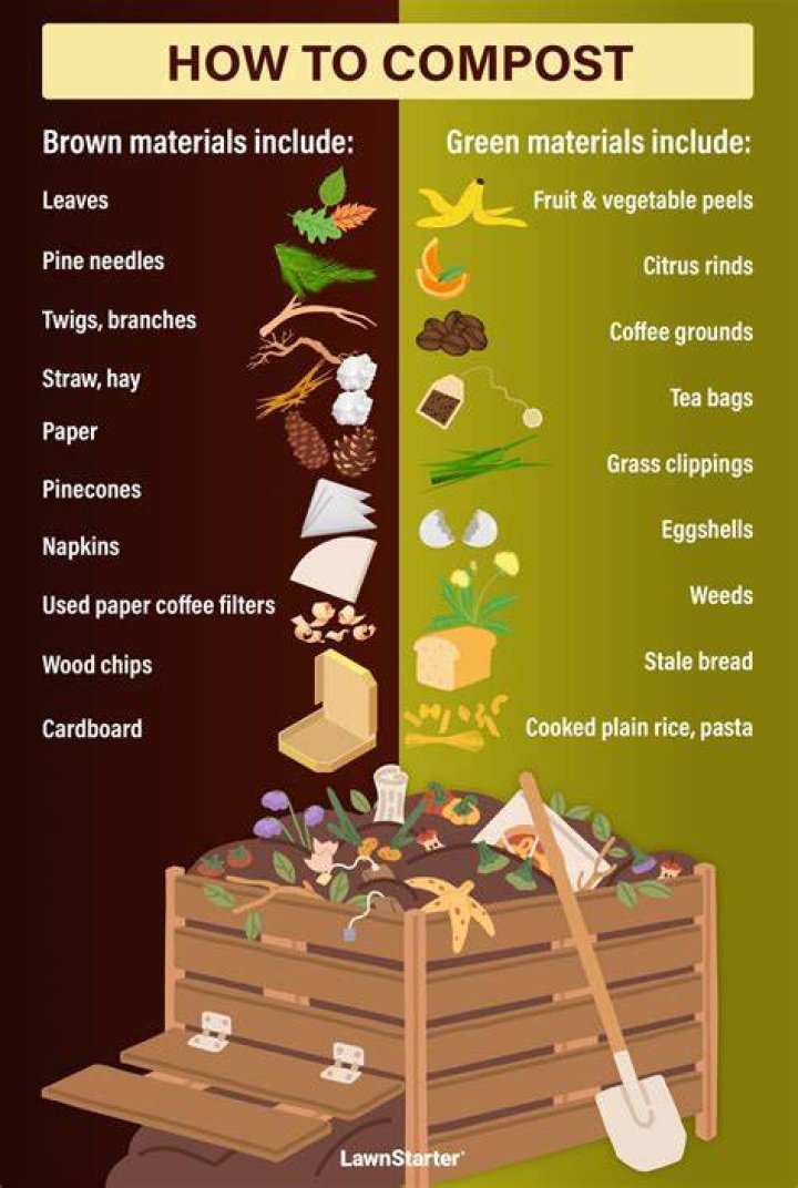 What fruit can go in compost