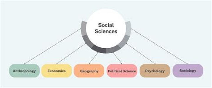What human sciences include