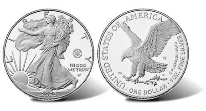 What is a 1996 silver eagle worth?