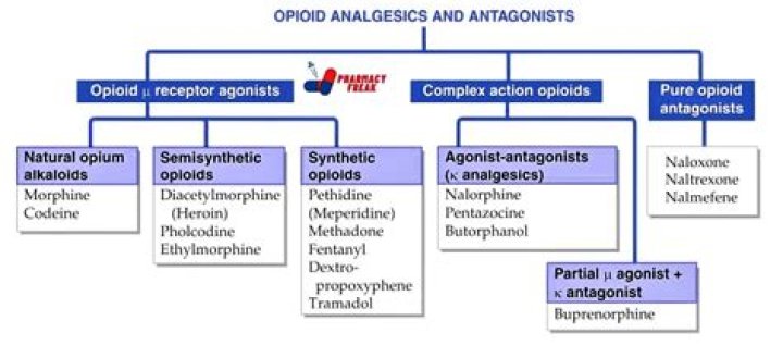 What is a Class 1 narcotic?