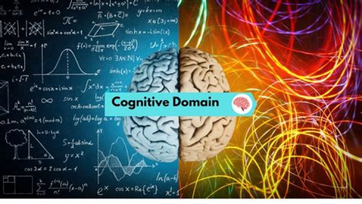 What is a cognitive domain