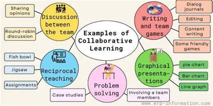 What is a collective case study