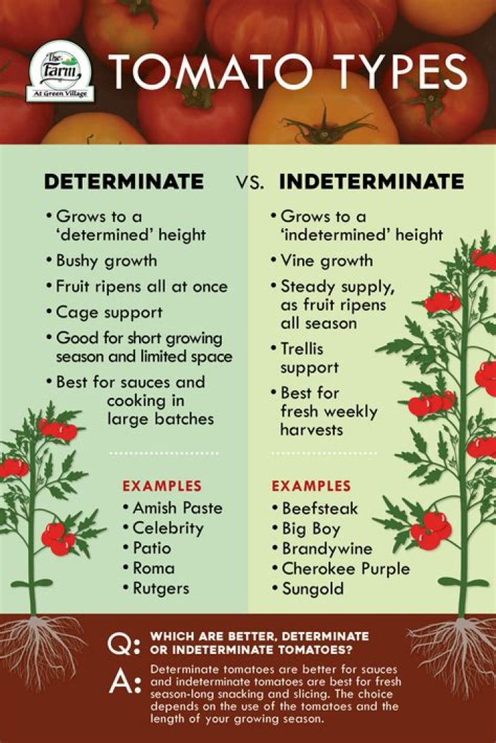 What is a determinate crop