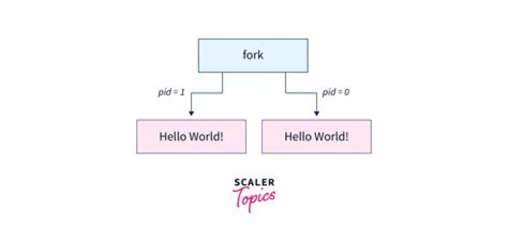 What is a fork in computer science?