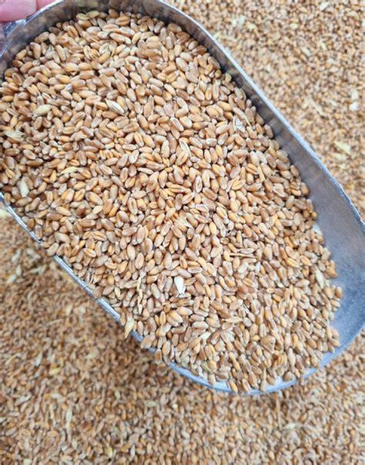 What is a grain British