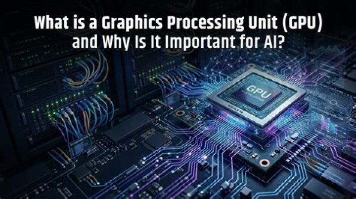 What is a graphics processor in a computer?