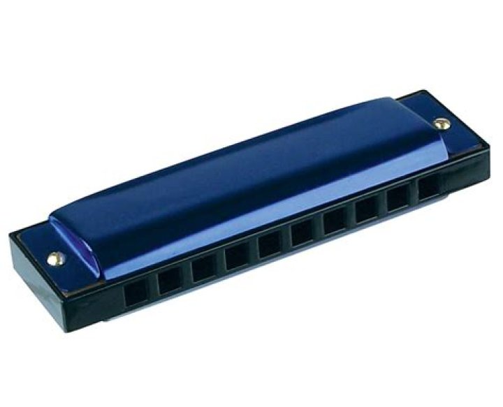 What is a harmonica riff?