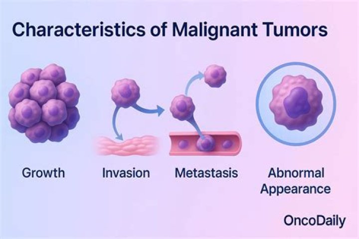What is a hematopoietic malignancy?