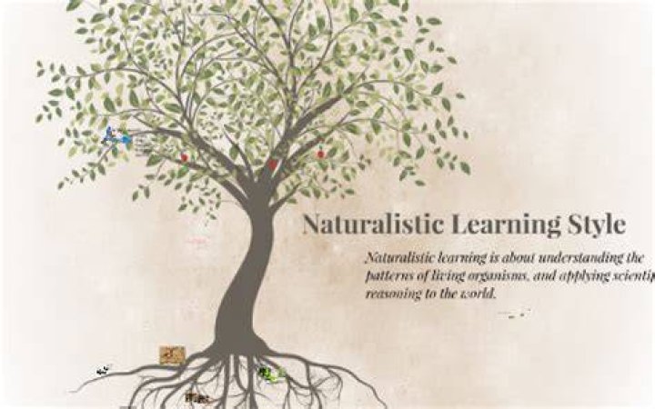 What is a naturalistic learning style