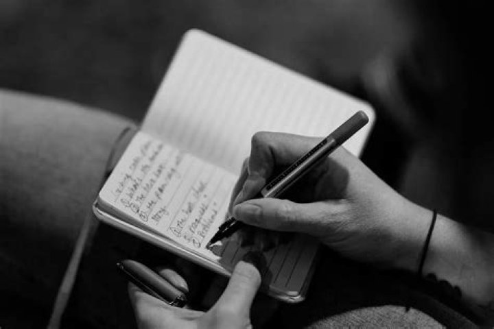 What is a novel experience