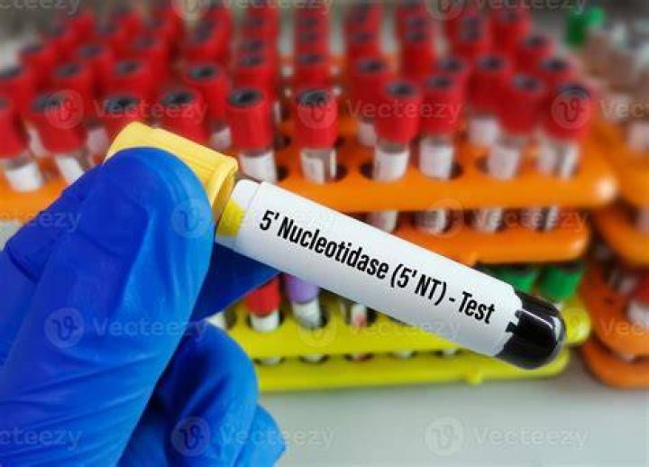 What is a Nucleotidase test