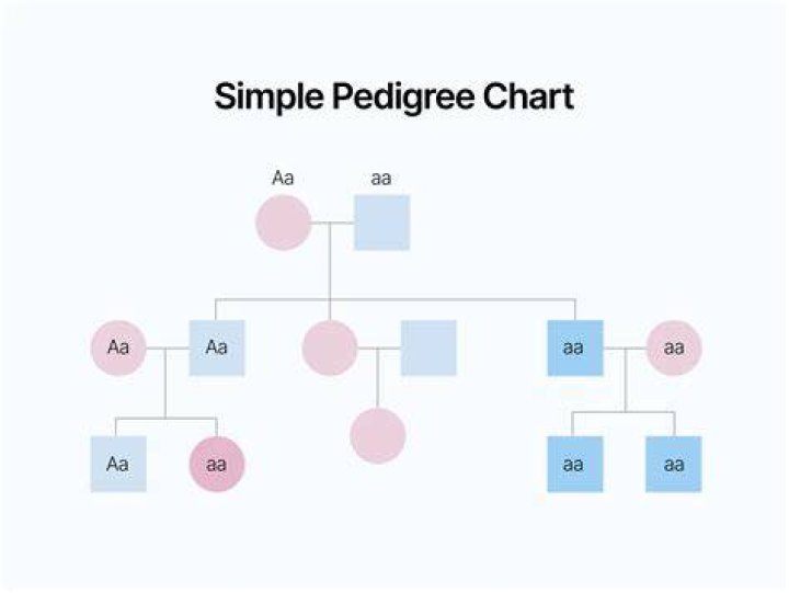 What is a pedigree