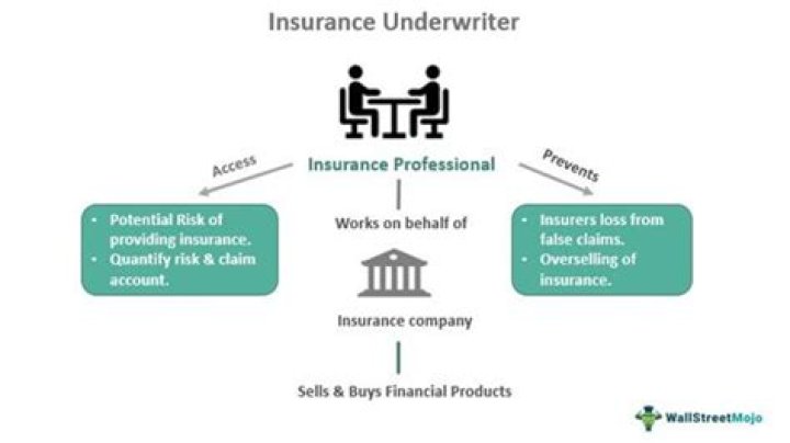 What is a risk underwriter