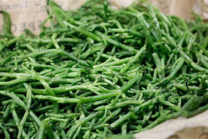 What is a sea beans