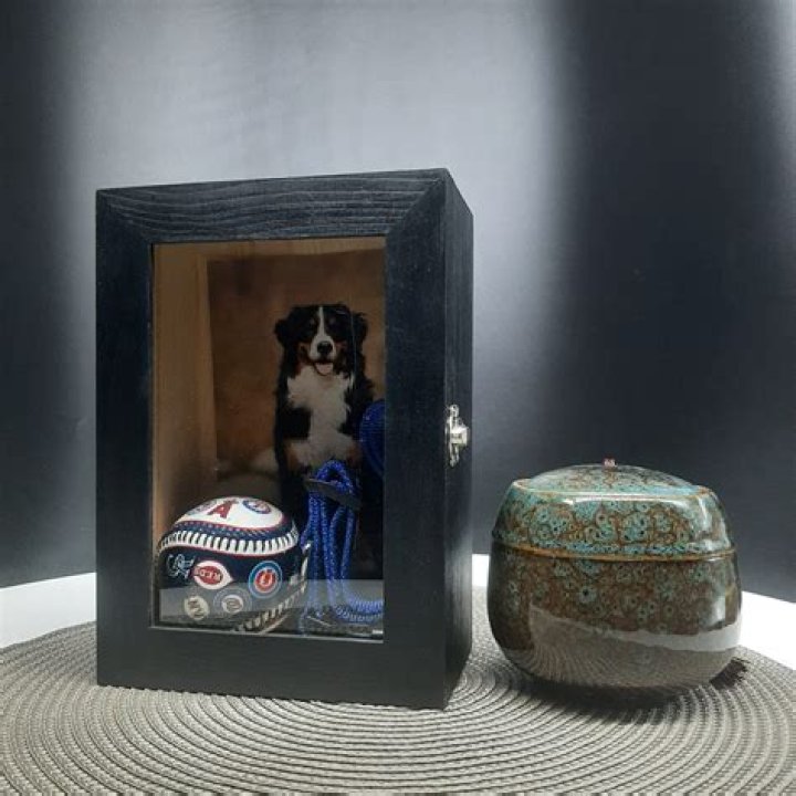 What is a shadow box display
