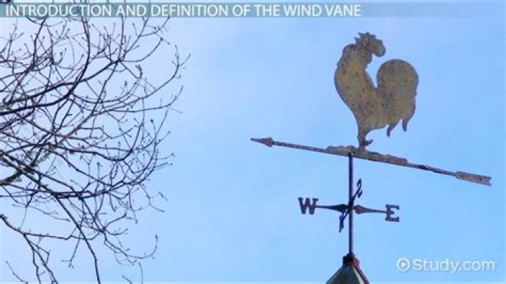 What is a wind vane kid definition