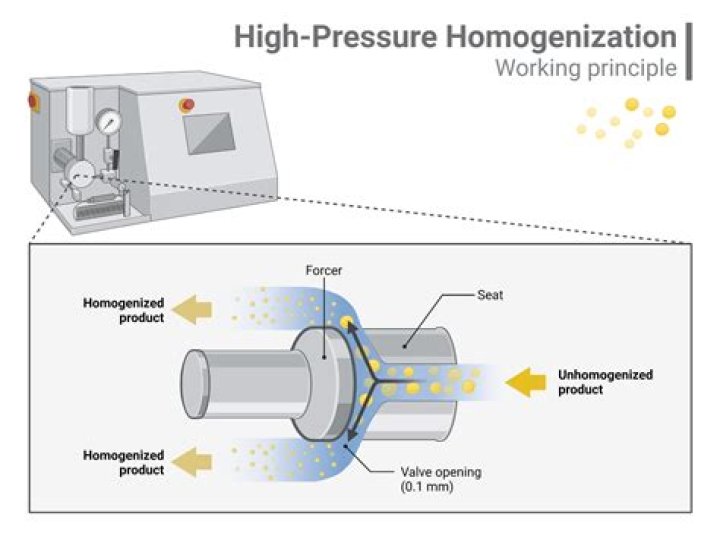 What is APV homogenizer?