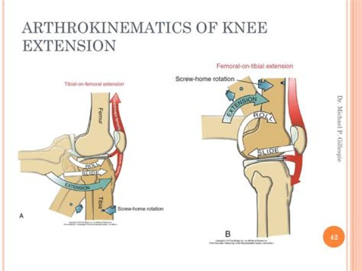 What is Arthrokinematics