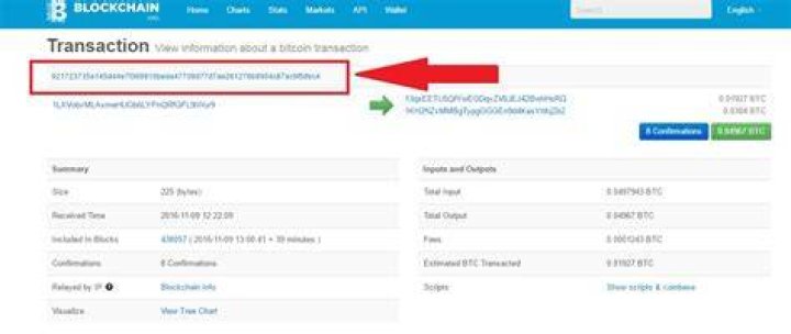 What is Bitcoin transaction ID?