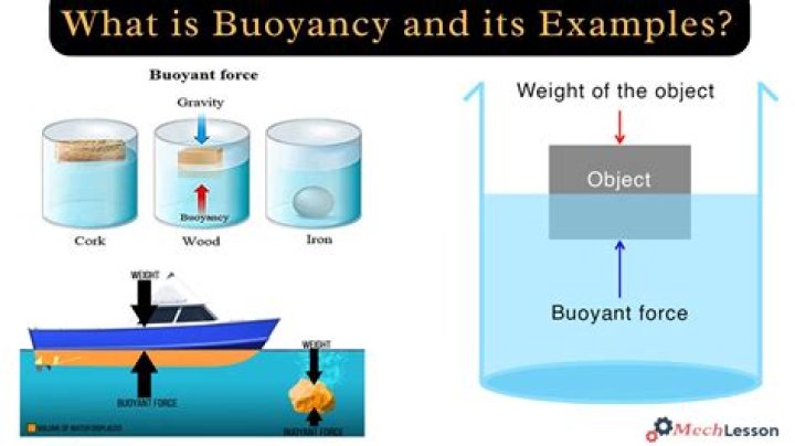 What is buoyancy density