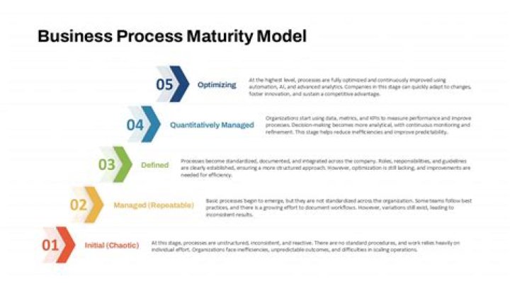 What is Business Process Maturity Model