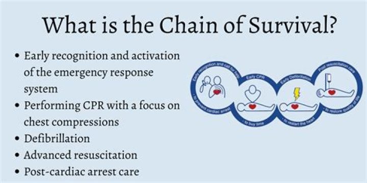 What is chain training