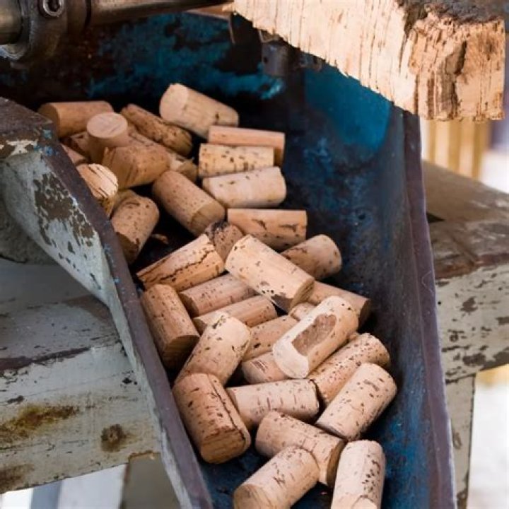 What is cork sole
