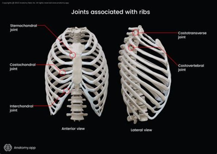 What is Costochondral Junction