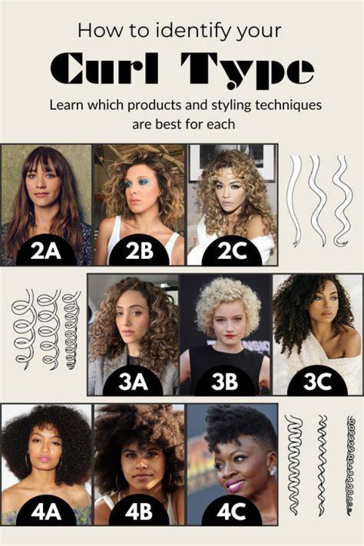 What is curl s option?