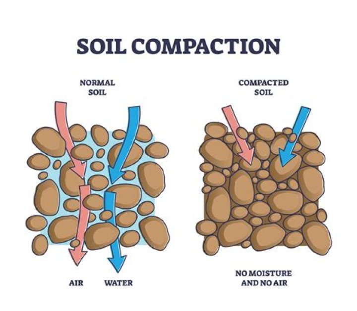 What is deep dynamic compaction
