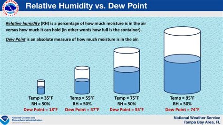 What is dew date