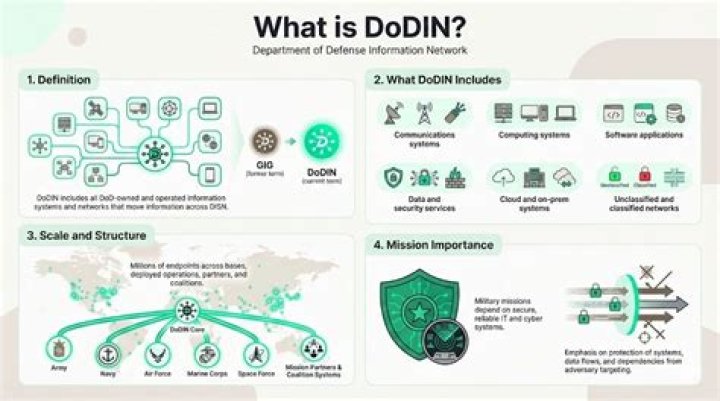 What is Dodin