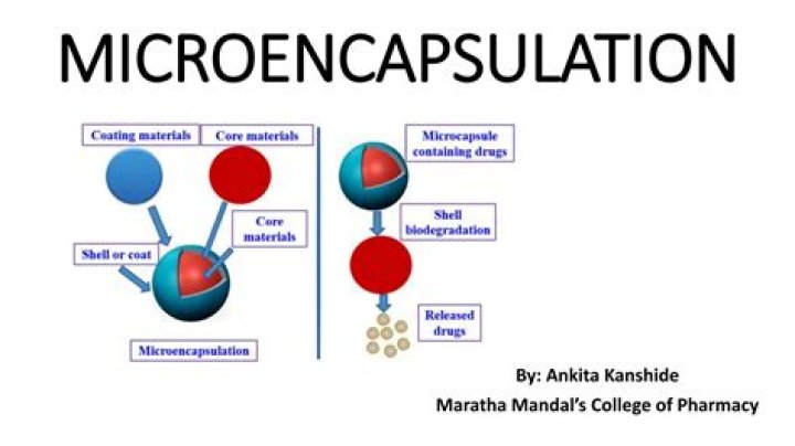 What is encapsulation fabric