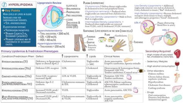 What is essential hypertriglyceridemia